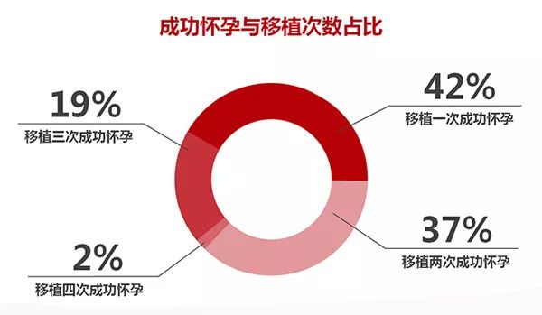 听说做试管婴儿包成功？来看看试管成功率的真相到底是怎样的