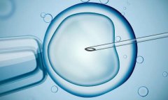 说说大家都担心的 做试管婴儿会移植错胚胎吗？