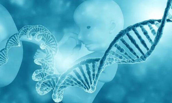 上海第三代试管婴儿：解决遗传疾病，实现家庭完美生育