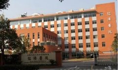上海第三代试管婴儿医院：实现生育梦想的希望之地